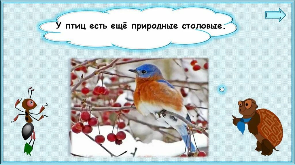Птицы зимой 1 класс. Птицы зимой окружающий мир 1 класс. Птицы зимой презентация 1 класс. Как зимой помочь птицам окружающий мир.