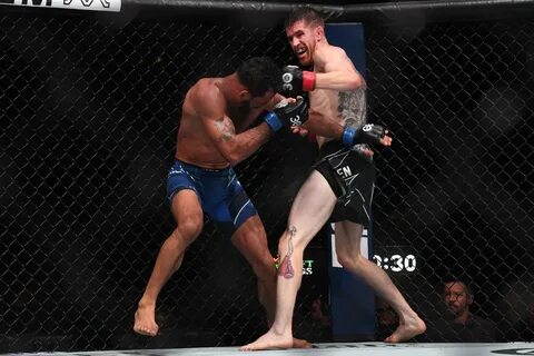 Ufc fight night видео