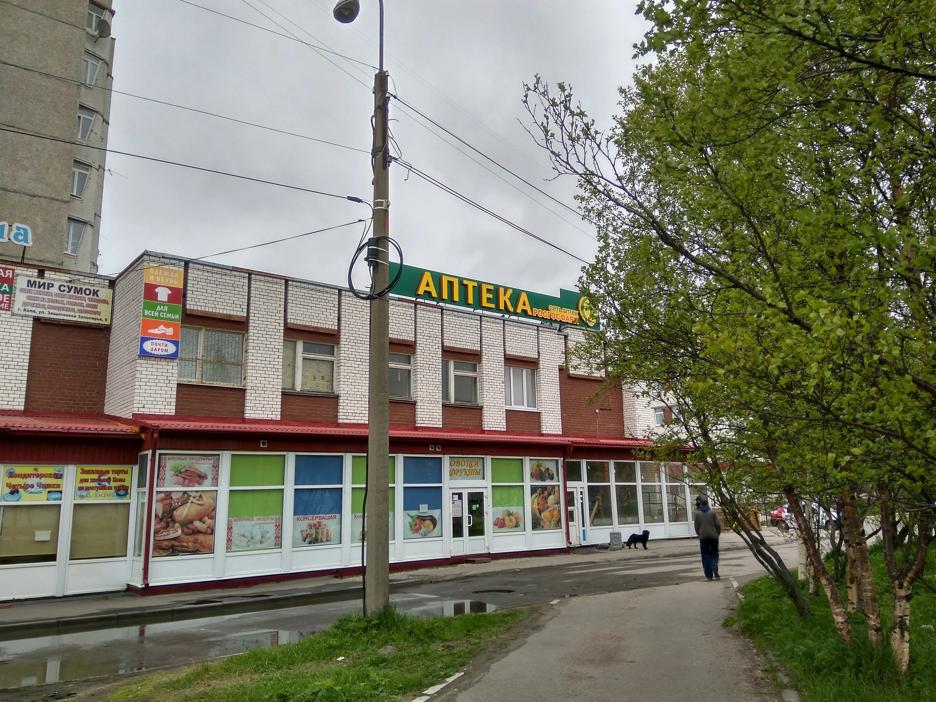 31 аптека североморск. аптека североморск советская 24. структура бюджета мурманской области. аптека бюджетная росгосфарм эмблема.