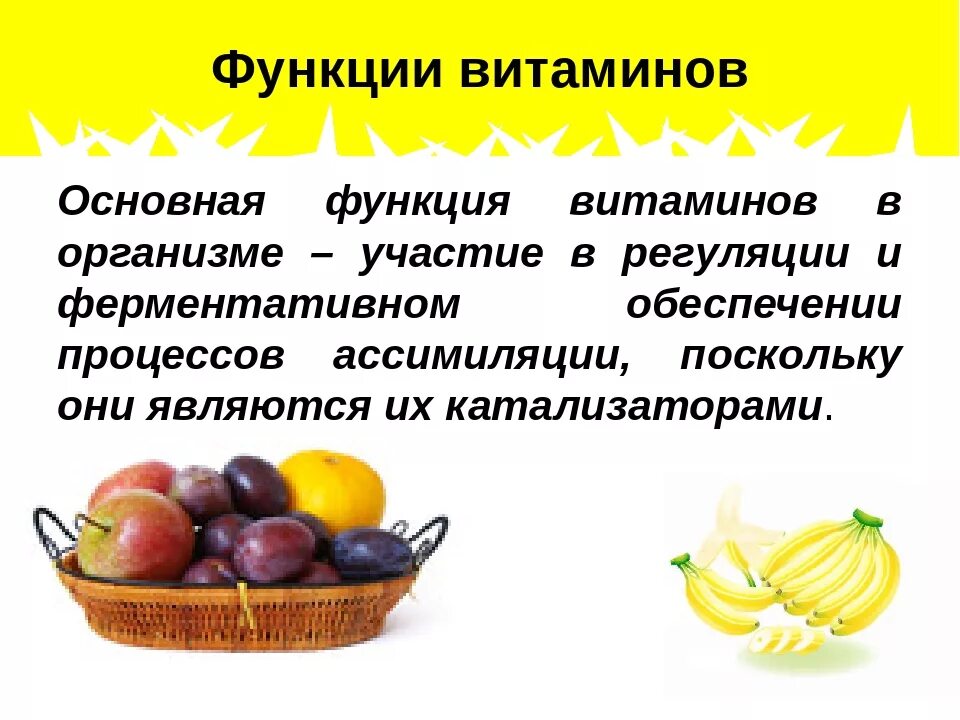 Основное значение витаминов. Роль витаминов в организме человека. функции витаминов в организме. витамины и роль витаминов в организме человека. функции витаминов в организме человека.