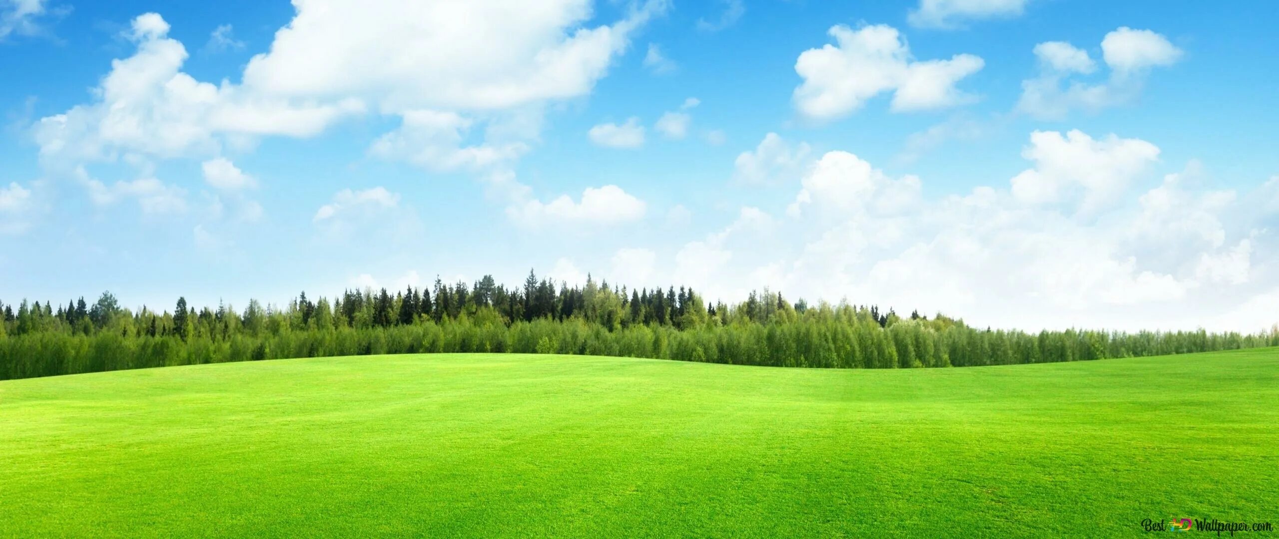 Блочная структура сайта. Поле сайта. Поле сайта. Поле небо. «пшеничное поле — противостояние» (нью-йорк, сша).