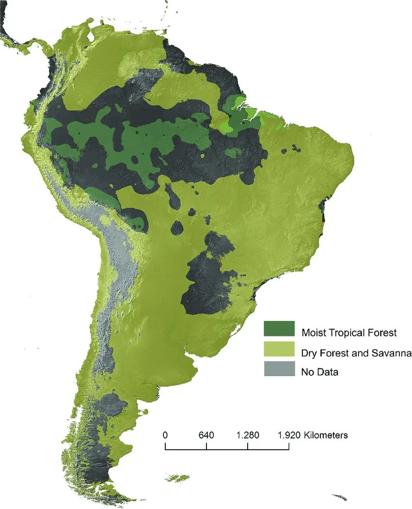 Vegetation and soils. Vegetation map. vegetation map oslo. парантропы население на карте.