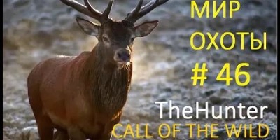 смешные картинки удачной охоты