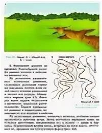 Овраг план
