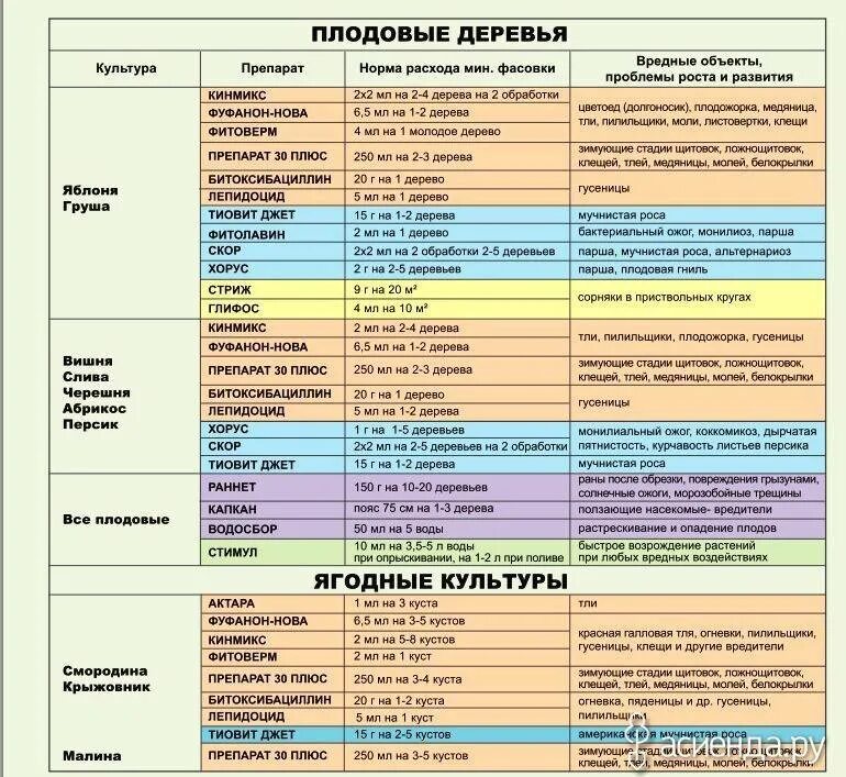 Когда нужно опрыскивать деревья весной. Схема опрыскивания плодовых деревьев весной. Таблица обработки от вредителей и болезней сада болезней. Таблица опрыскивания плодовых деревьев. Схема обработки плодового сада.