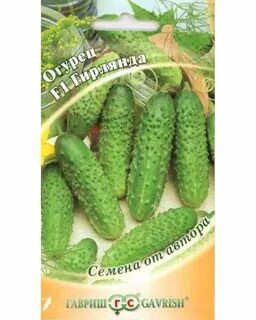 Огурцы гирлянда