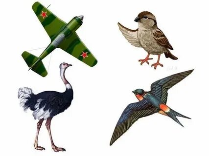Птицы для ребенка 5