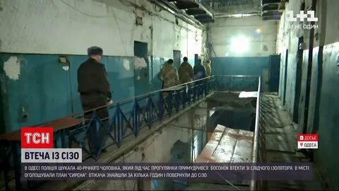 Новости тсн 1 1 смотрят