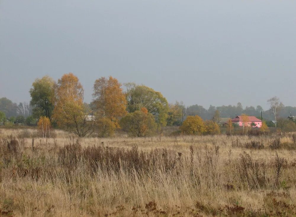 Село девять. Орловское Полесье 9 Дубов. Деревня 9 Дубов Орловская область. Деревня Полесье. Большое Юрьево Орловская область.