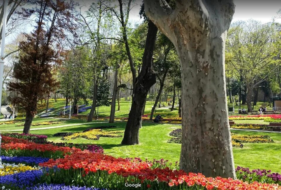 Гюльхане парк стамбул. Парк гюльхане в стамбуле. гюльхане парк стамбул тюльпаны. парк гюльхане фестиваль тюльпанов. парк гюльхане в апреле.