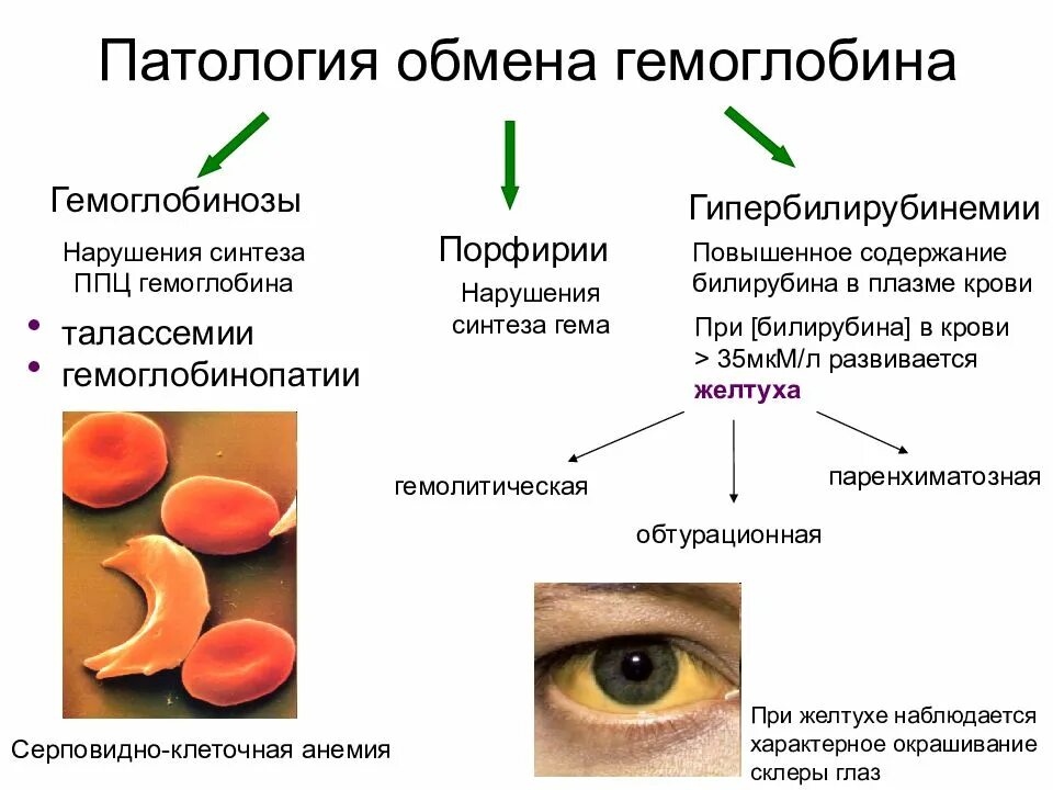 Моча при анемии
