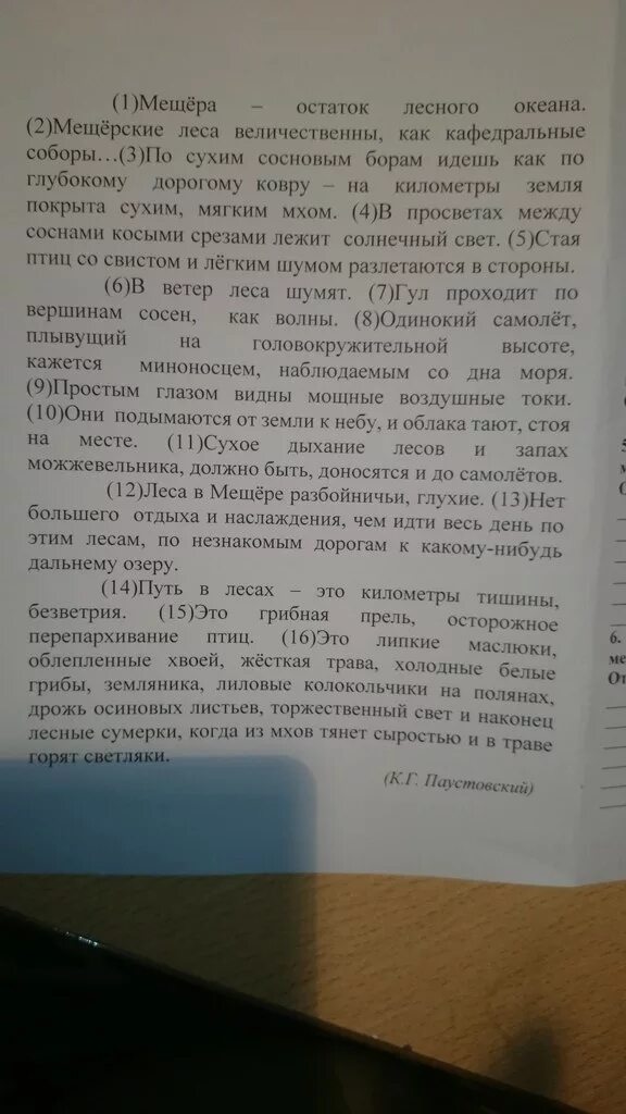 Мещера остаток лесного. Диктант Мещеры остаток лесного океана. Мещёра текст диктант. Мещера остаток лесного океанагпасматичкская основа. Мещера остаток лесного океана почему пишем дефиз.