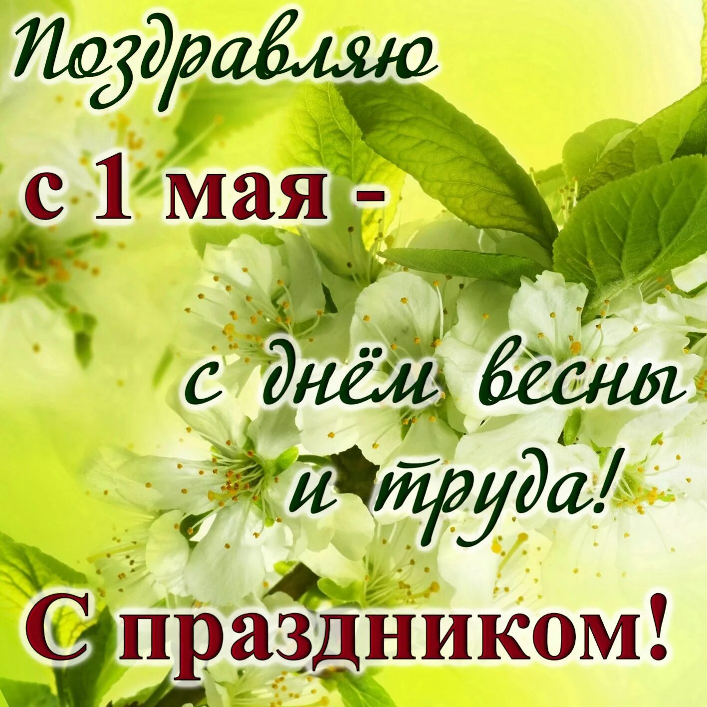 Открытки с 1 мая. 1 майя. С праздником весны 1 мая. С первым мая поздравление. Открытки с 1 мая.