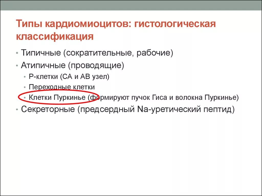 Основная функция типичных кардиомиоцитов. Классификация кардиомиоцитов. разновидности кардиомиоцитов. типы кардиомиоцитов физиология. классификация атипичных кардиомиоцитов.