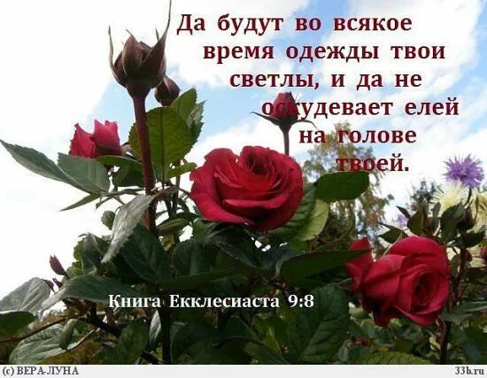 С днем рождения женщине библия. Христианские пожелания. Христианские открытки с днем рождения. Христианские поздравления с днём рождения. Христианские поздравления с днём рождения.