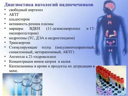 Подготовка к сдаче анализа на кортизол