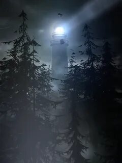 They light