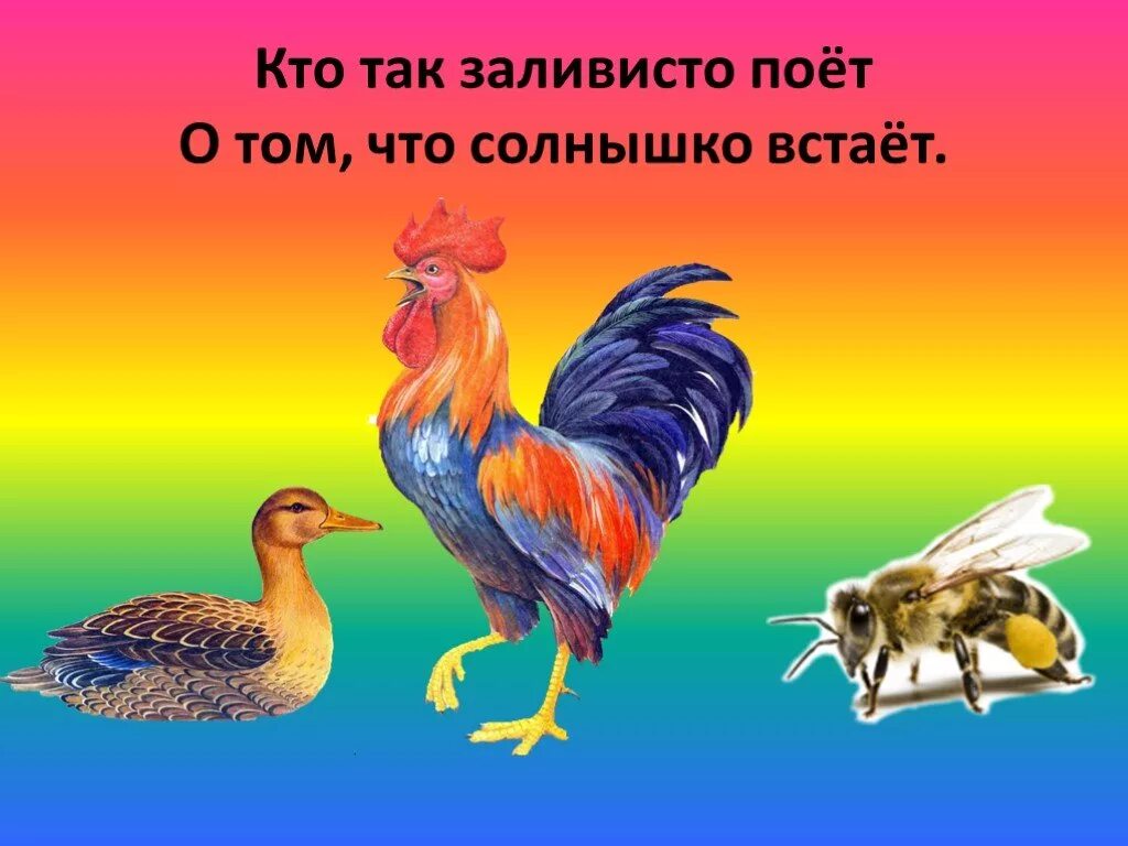 Заливистый почему и. Заливистый почему и