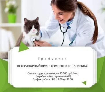 Вакансии в ветеринарной клинике москва