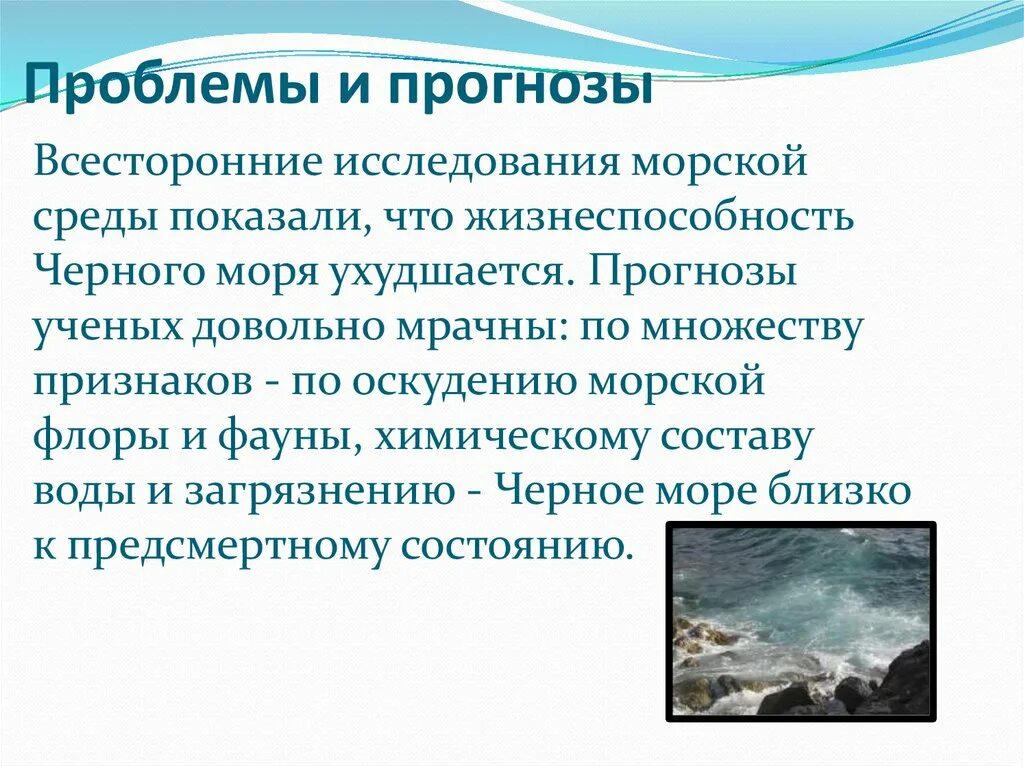 Экологические проблемы черного моря. Экологические проблемы Черноморского побережья. Причины загрязнения черного моря. Пути решения проблемы загрязнения черного моря.