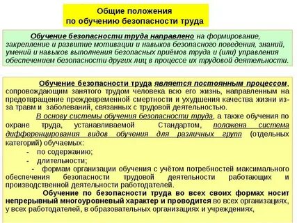 Организация обучения по курсу профессиональной