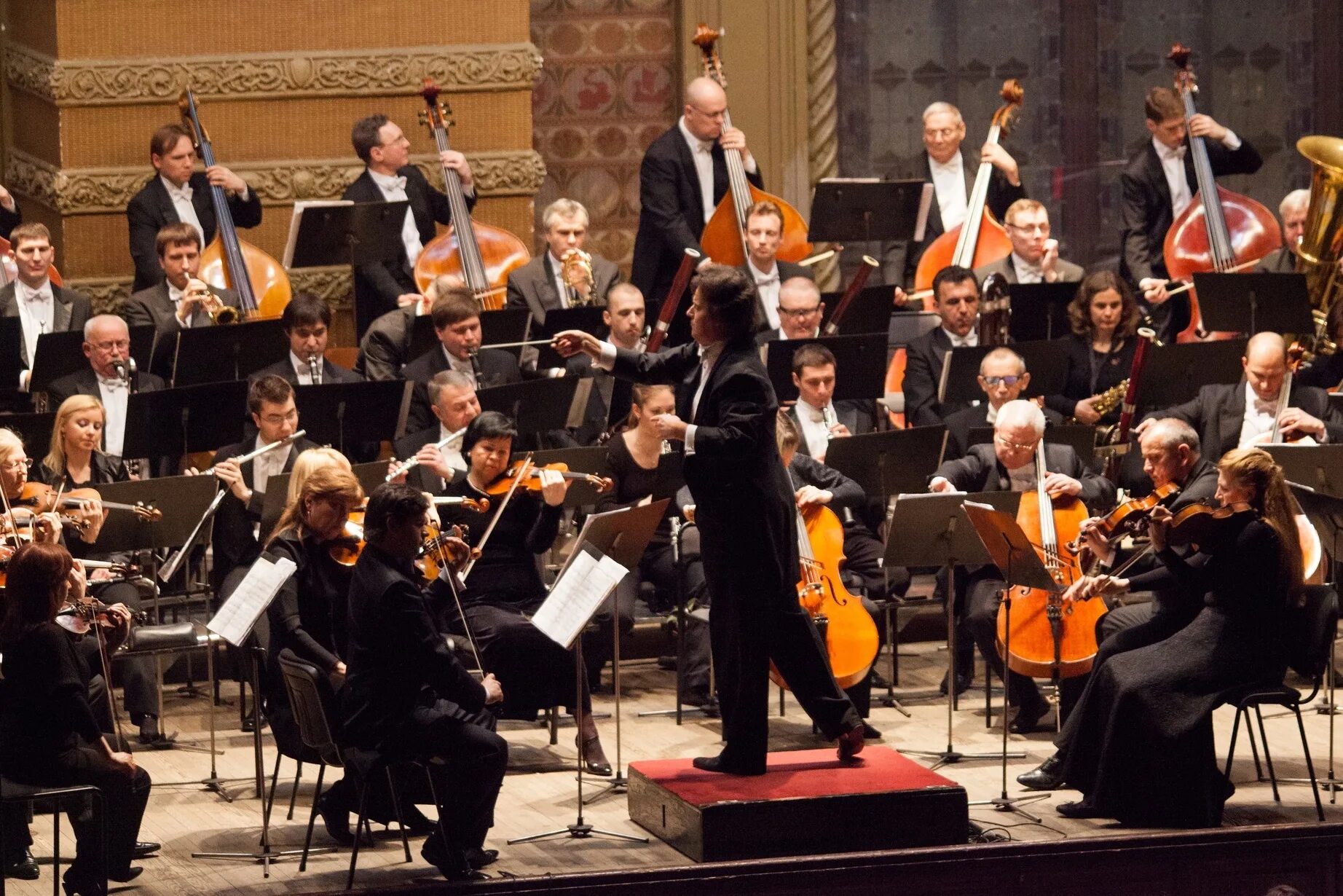 Orchestra games. Дирижер Конкорд оркестра. Оркестр картинка. Фото дирижера с оркестром. Театральный оркестр.