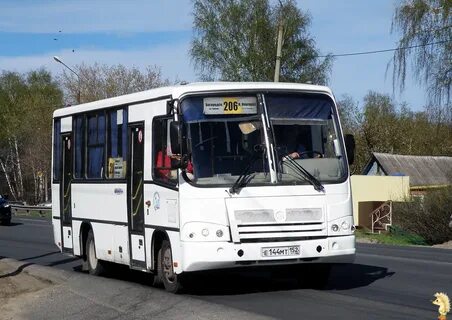 Автобус 144 плесково