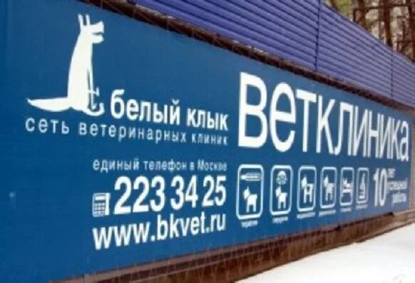Вет строгино. Белый клык ветклиника митино. белый клык ветклиника строгино.