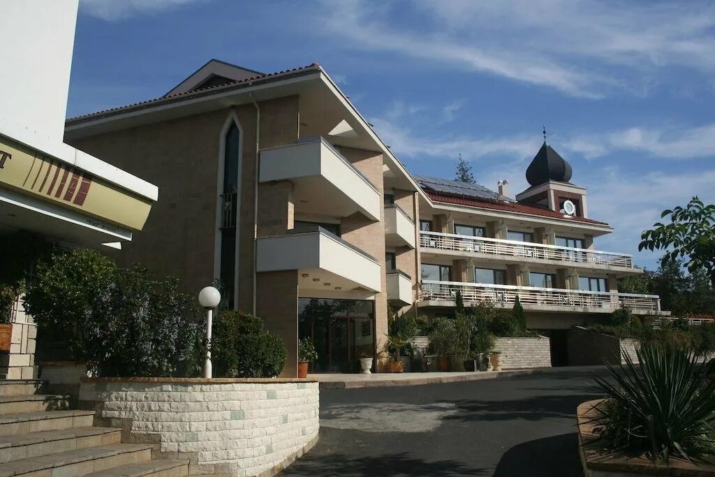 Mg complex