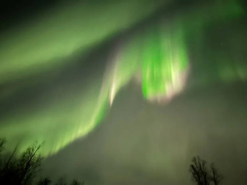 реальная америка. стрижки бандитов 90-х. жить в палатке. американские бандиты 90х. жизнь петровича в сша.