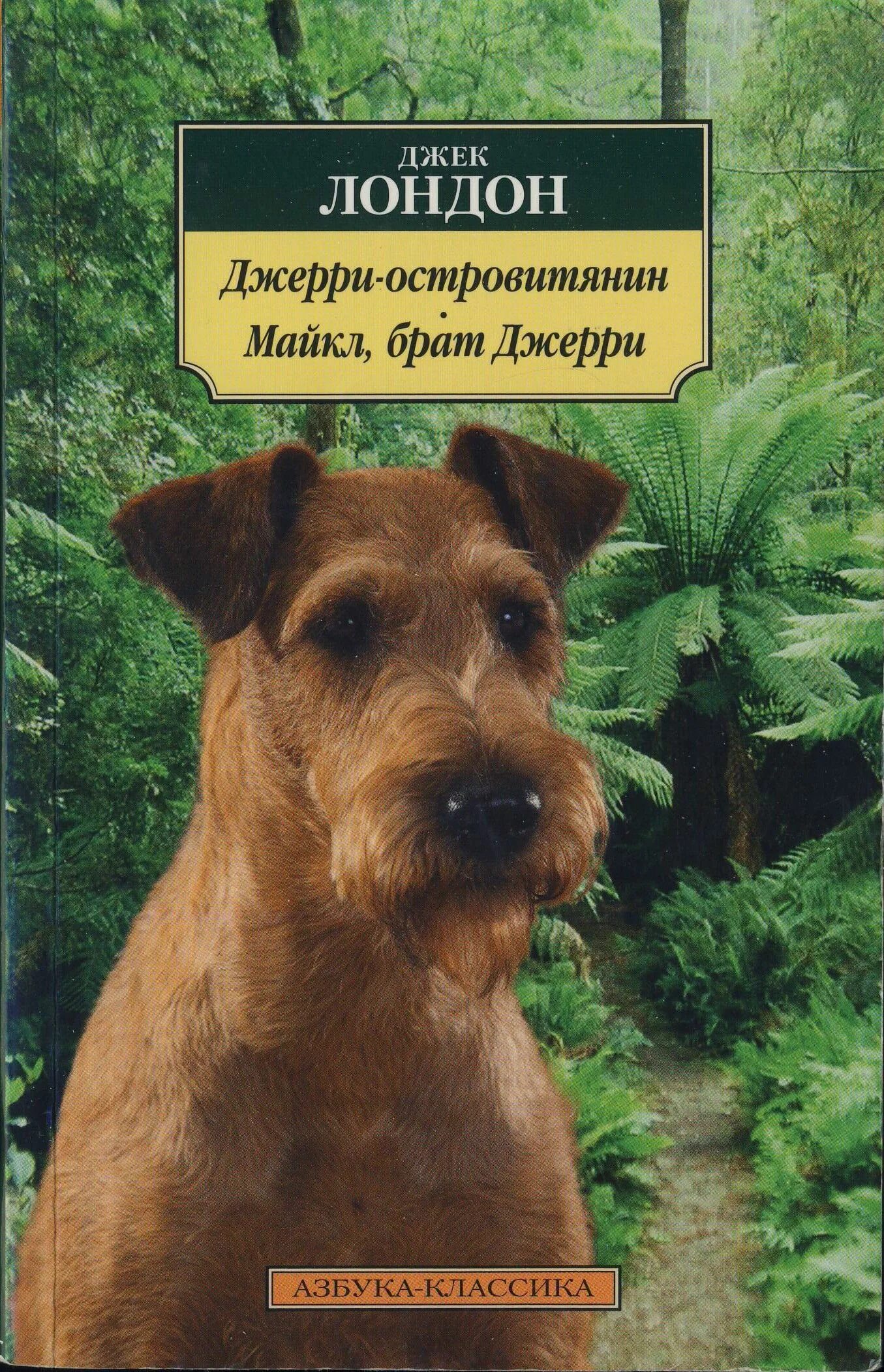 Джек лондон джерри островитянин. Джерри-островитянин книга. Джек лондон островитянин. Джек лондон островитянин. Джерри-островитянин джек лондон книга.