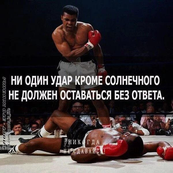 Цитаты пророка мухаммада. Мухаммад цитаты. Слава пророк мухаммад. Цитаты пророка мухаммада. Хадисы пророка.