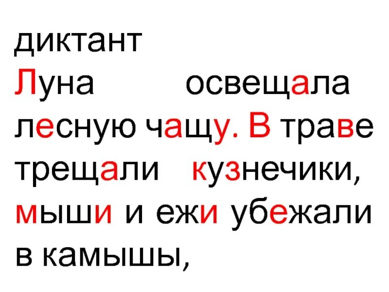 В траве трещат кузнечики скрипит жук. Луна освещала лесную чащу в траве трещали Кузнечики. В траве трещат Кузнечики. Трещат Кузнечики. В траве трещат Кузнечики разбор предложения.