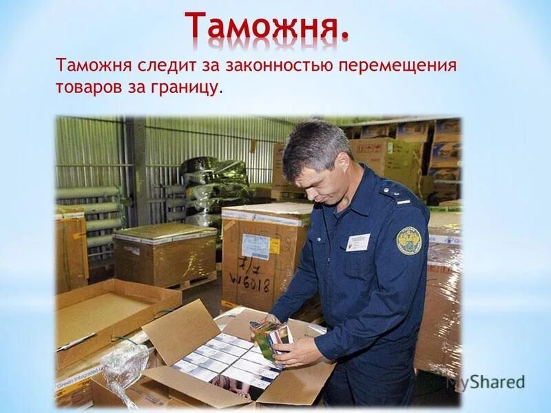 Следит за законностью перемещений товаров через границу. Таможня на страже закона. таможня следит за. компьютеры на страже закона. таможня следит за законностью перемещений товаров через границу.
