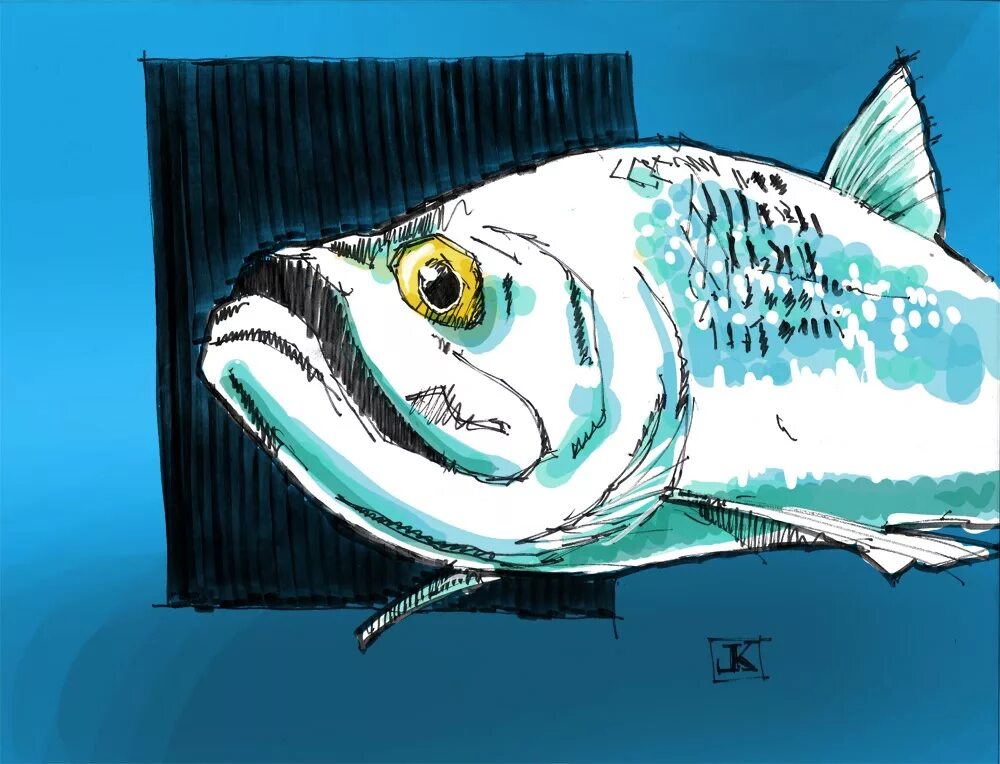 Рыба глаза иллюстрация. Глаз рыбы рисунок. Изумрудная рыбка. Мультяшная рыба концепт. Произведение изумрудная рыбка