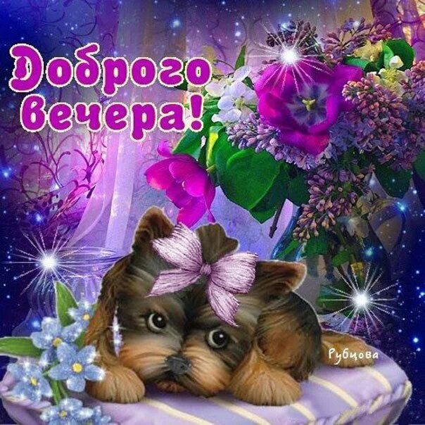 Добрый вечер картинки пожелания с животными. Открытки спокойной ночи. добрый вечер. добрый вечер с детьми с пожеланиями. открытки хорошего вечера с животными.