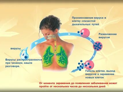 Респираторный вирус симптомы