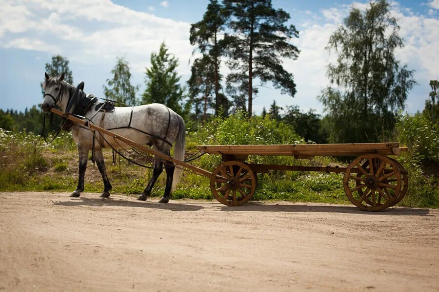 Повозка с лошадью. Запряженная лошадь. Лошадь запряженная в телегу. Телега с лошадью праздник.