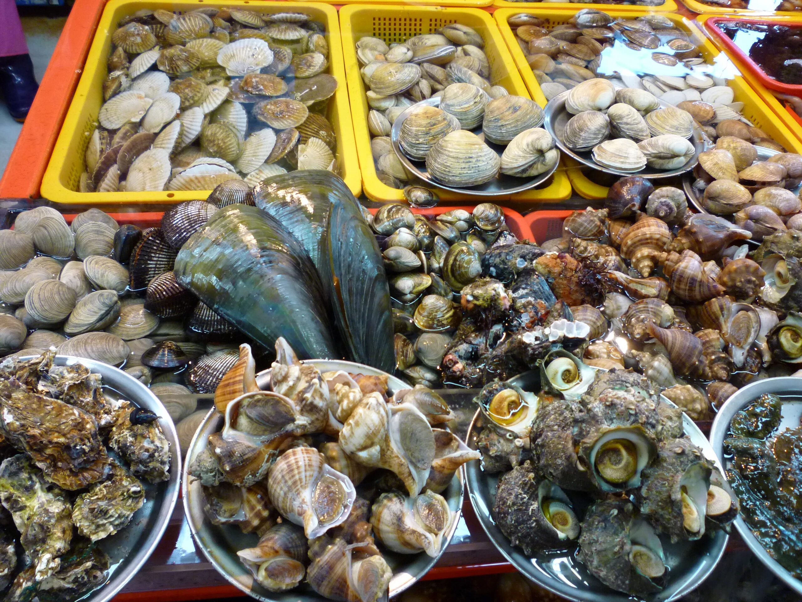 Рыбный рынок какое метро. Рынок морепродуктов чагальчхи. азиатский рынок морепродуктов. джагальчи. рынок морепродуктов в москве.