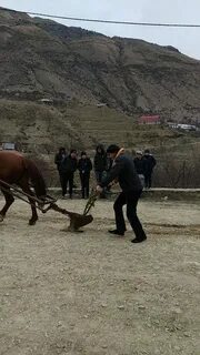 Точная погода село ахкент