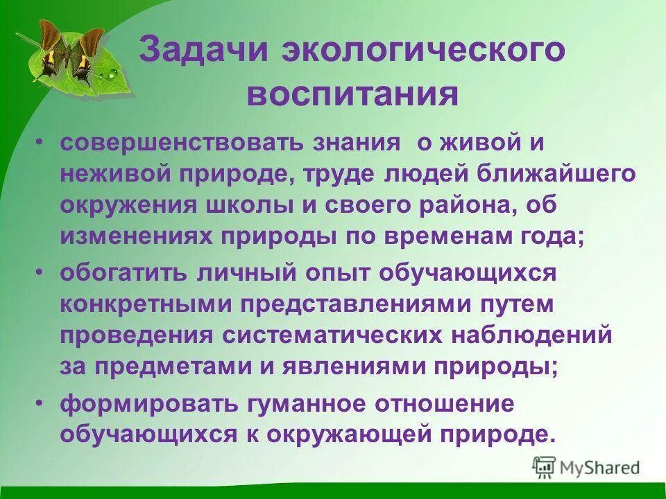 Задача экологического воспитания детей