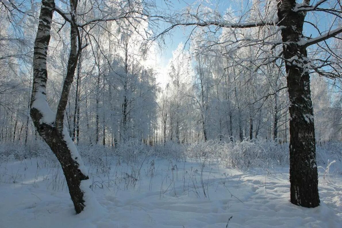 Стихи про зиму для детей. 4 лишний на зимнюю тематику. Рисунок на тему зима. Четыре зимы пять зим. Четыре зимы пять зим.