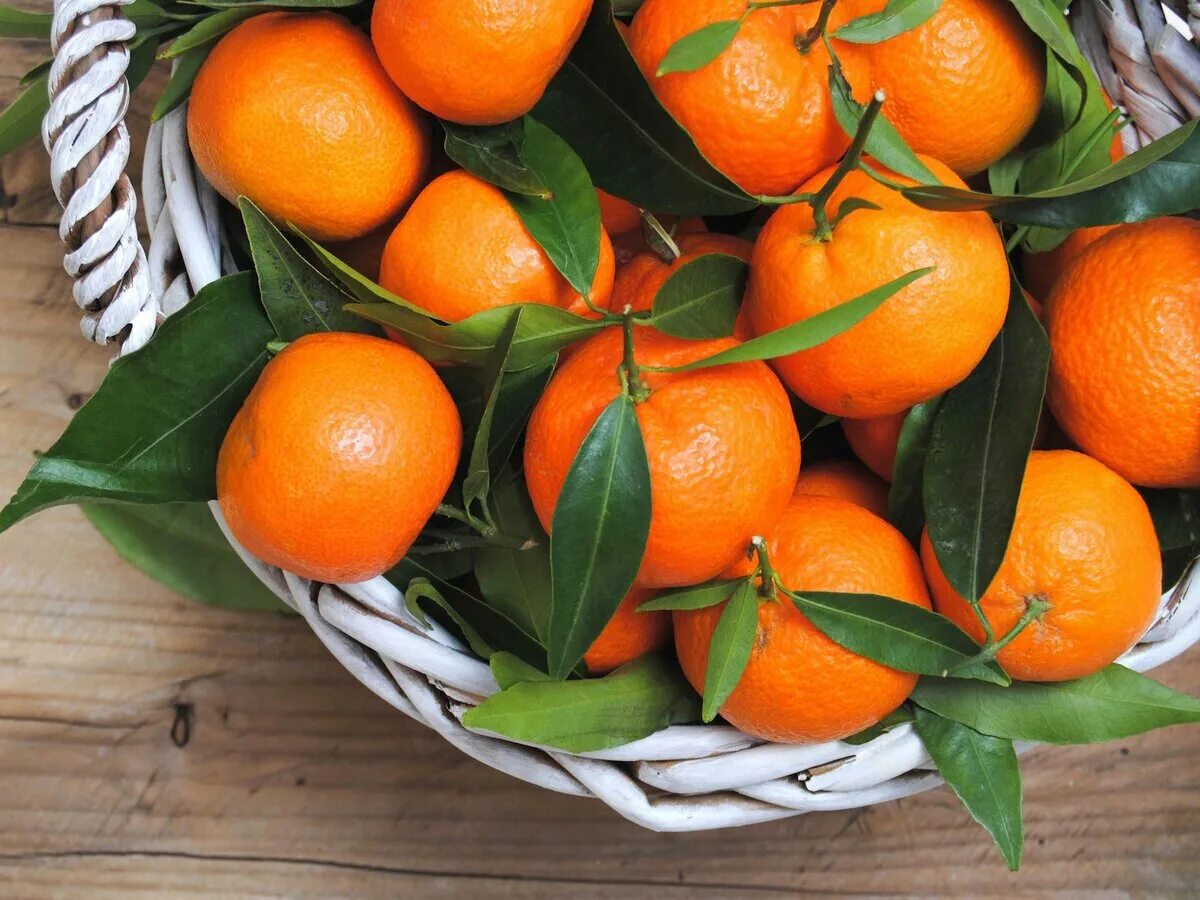 Мандарины Муркотт. Лимандарин Неаполь Citrus otaitensis di Napoli. Корзинка с мандаринами. Корзинка с апельсинами. Мандарин х