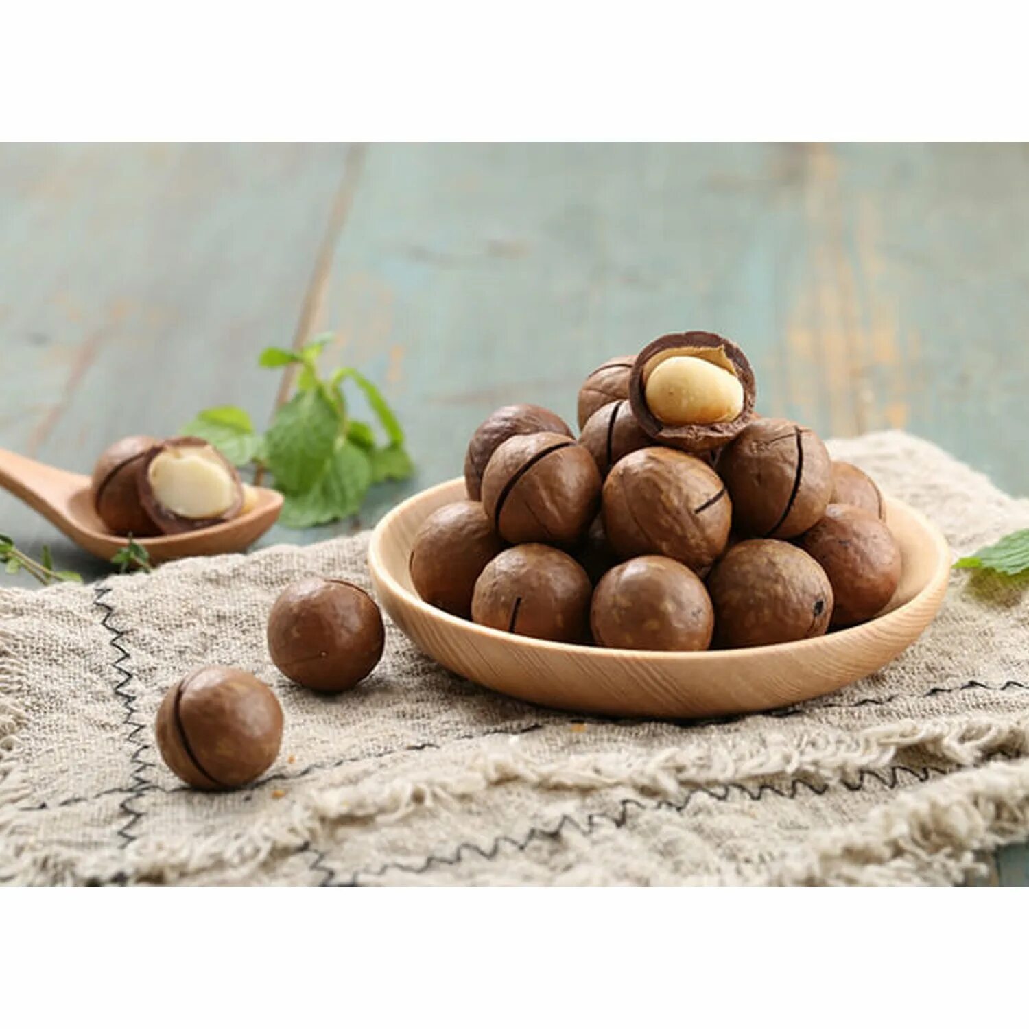 Орех макадамия австралия. Квинслендский орех. Макадамия австралия. Мадагаскарский орех. Макадамия дерево.