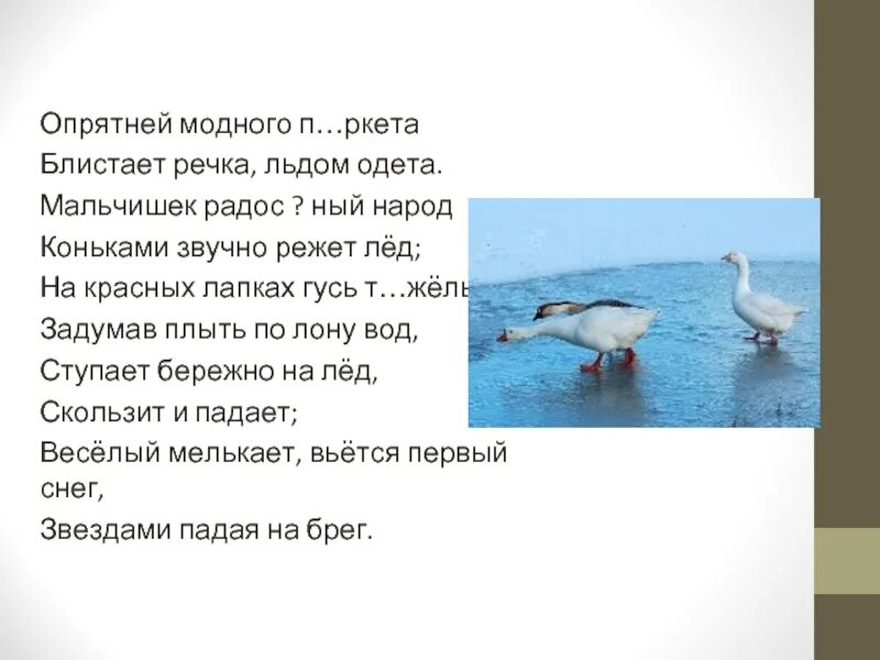 Стихотворение опрятней модного паркета. Пушкин опрятней модного. Стихотворение опрятней модного паркета блистает речка льдом одета. Стихотворение Пушкина опрятней модного паркета. Моднее модного паркета блистает речка