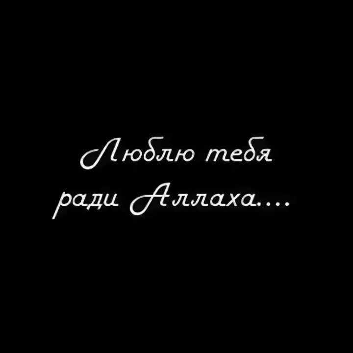 Ради тебя. Я тоже ради тебя. Все ради тебя. Всё ради тебя. Я тоже ради тебя.