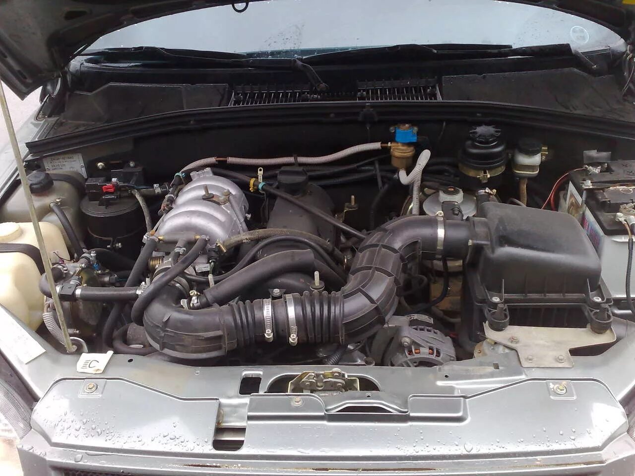 Мотор Нива Шевроле 2003. Chevrolet Niva 1.7 двигатель. Двигатель Шеви Нива 1.7. Мотор Нива Шевроле 2006. Мотор шеви
