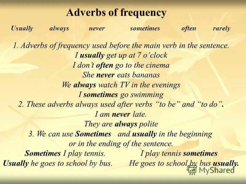 Adverbs of frequency place in the sentence