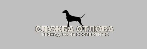 Отлов и содержание безнадзорных животных