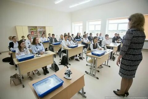 Элжур56 калининград